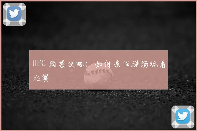 UFC 购票攻略:如何亲临现场观看比赛